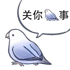 表情包 鸽子