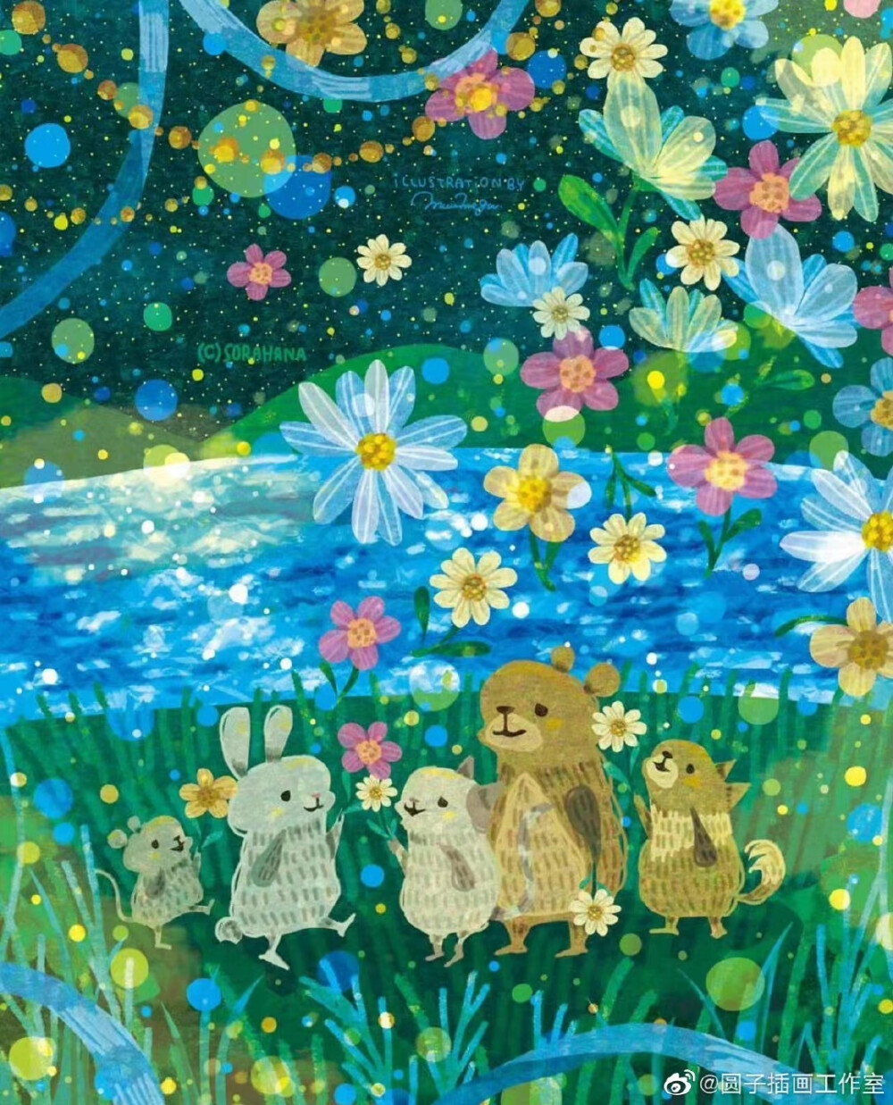 森林里的仲夏夜（semidarksorahana）