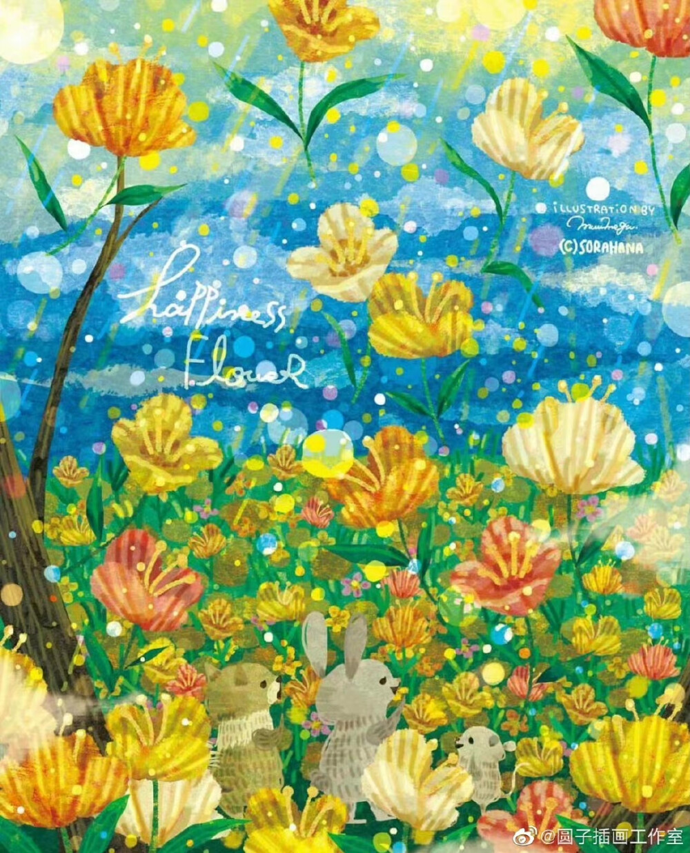森林里的仲夏夜（semidarksorahana）