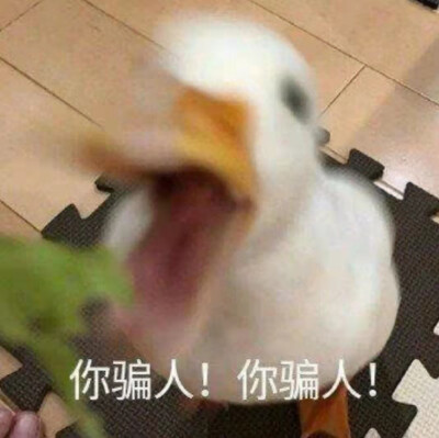 哈哈哈哈哈哈