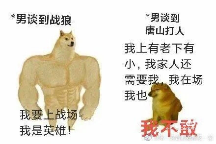 哈哈哈哈哈