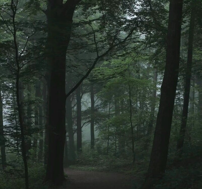 清冷系壁纸