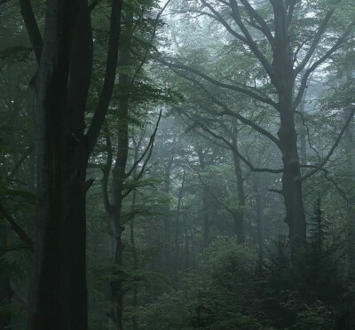 清冷系壁纸