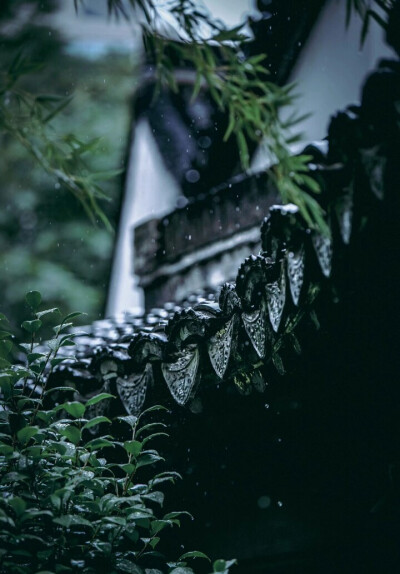 清冷系壁纸