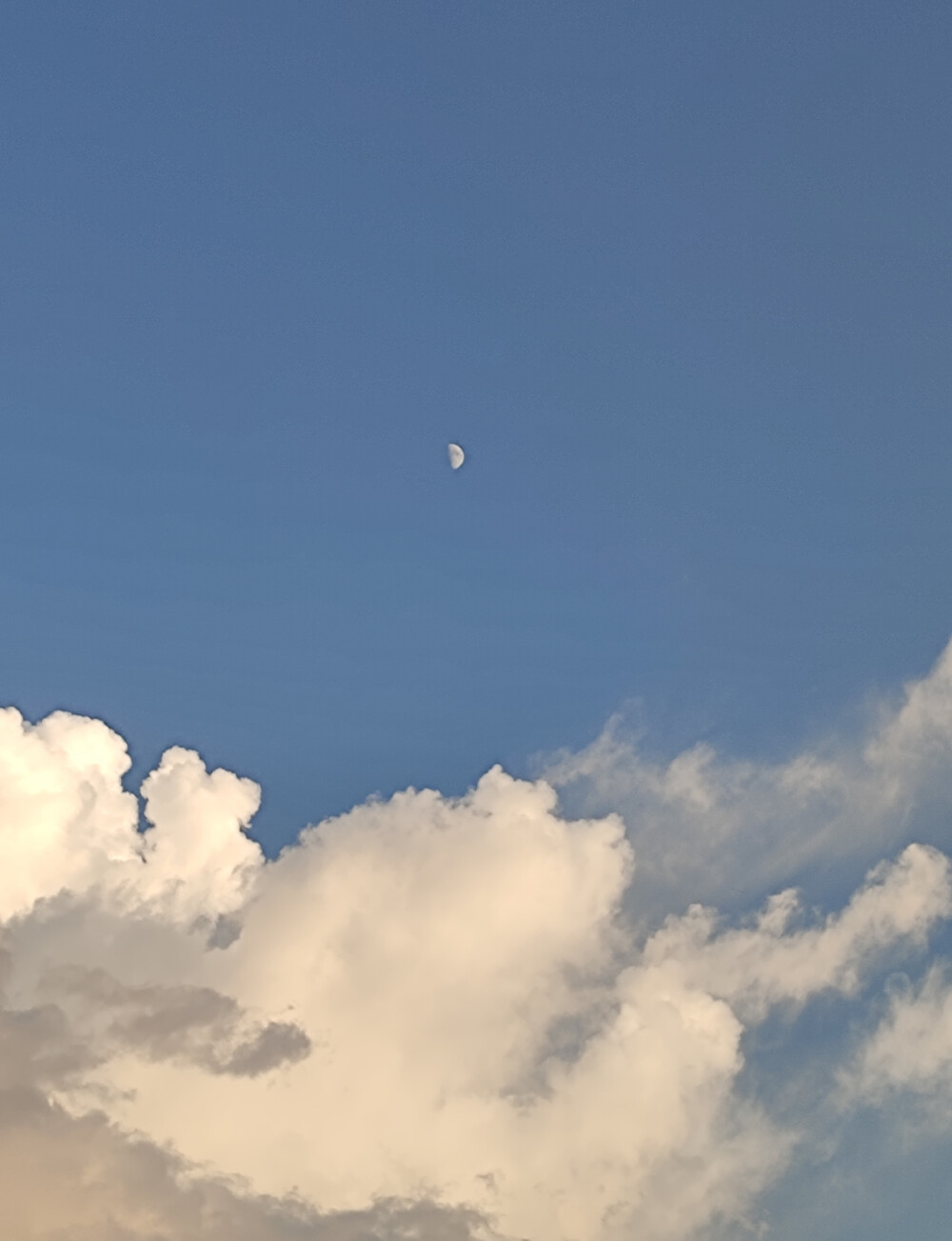 原创"向往蓝色自由的天空" - 堆糖,美图壁纸兴趣社区