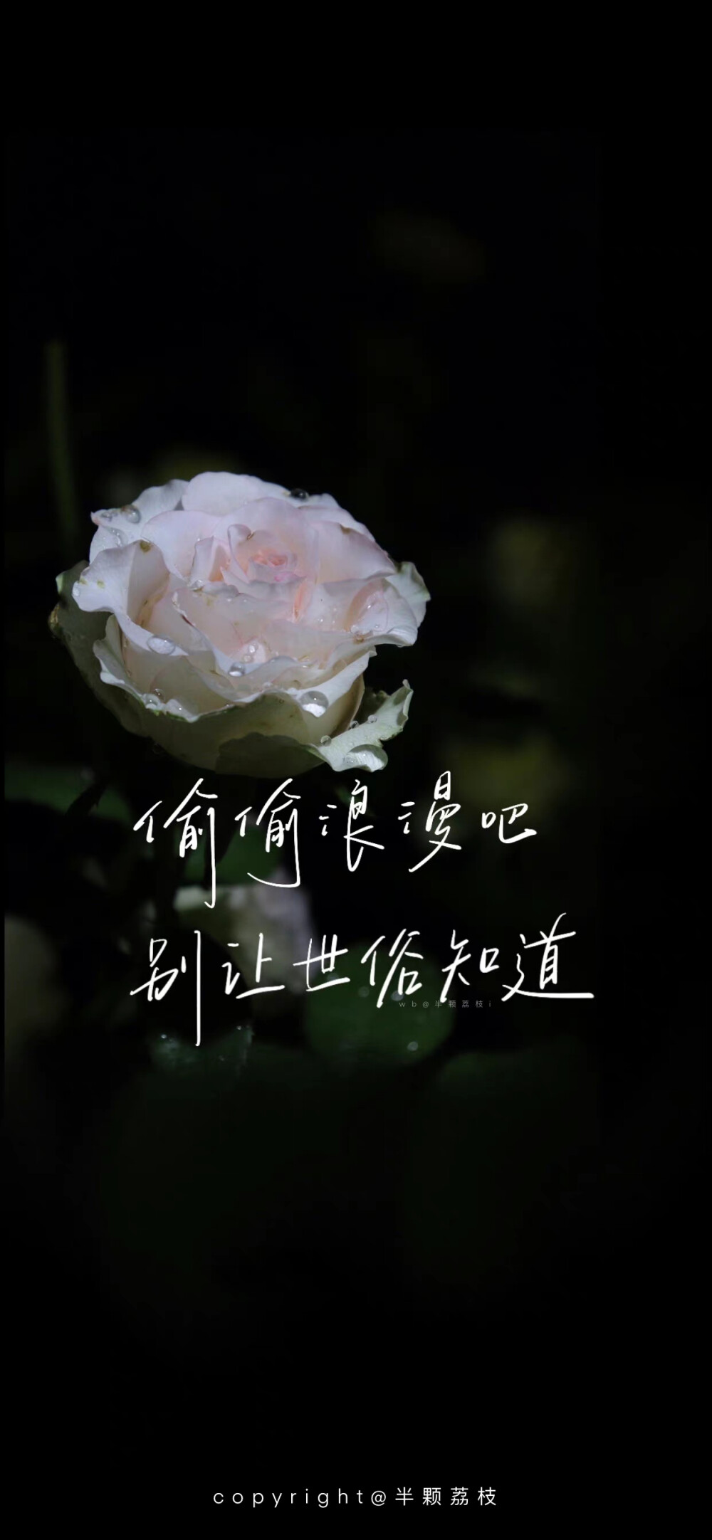 #壁纸##手机壁纸##励志文案#
花花系列壁纸•上
“春早秋晚，岁岁平安。”
cr@半颗荔枝i