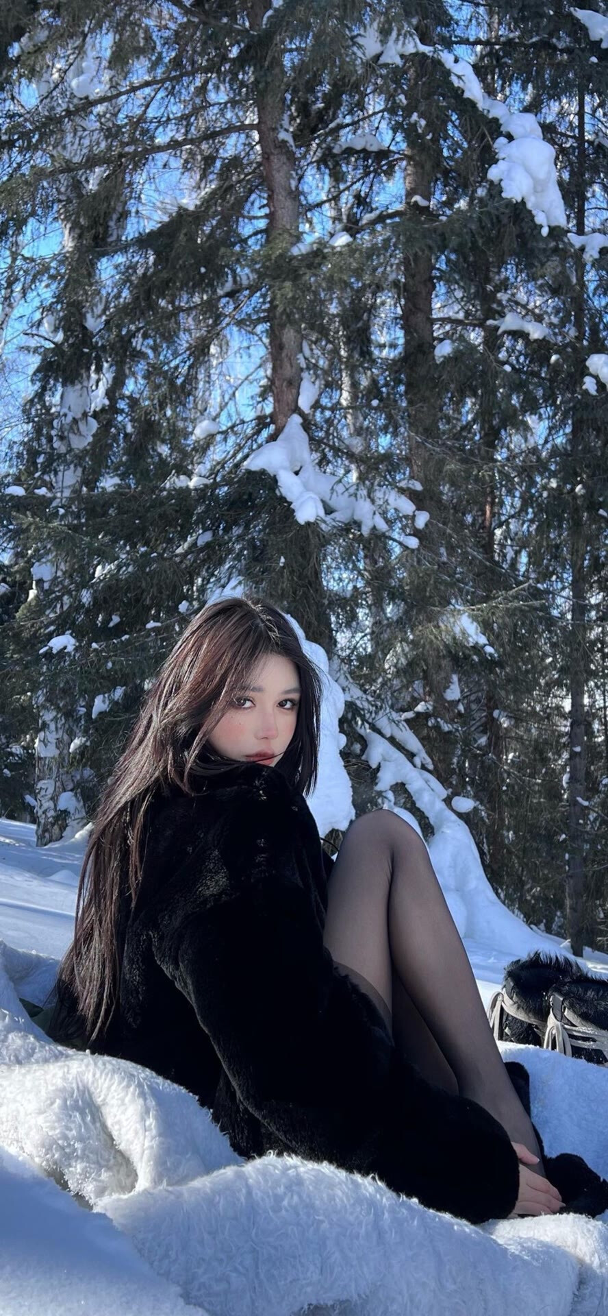 壁纸