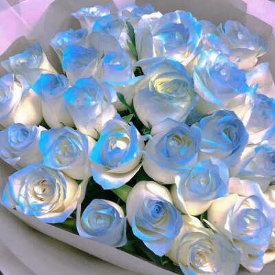 风格背景图
侵权删