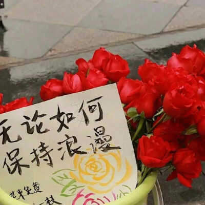 风格背景图
侵权删