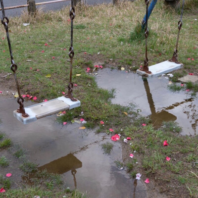 日记里的爱无解