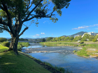 只有日本_京都鸭川