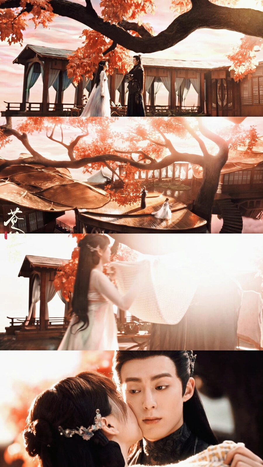 苍兰诀 cr:涅衍川