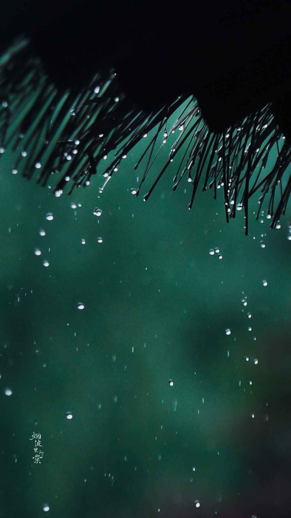 雨