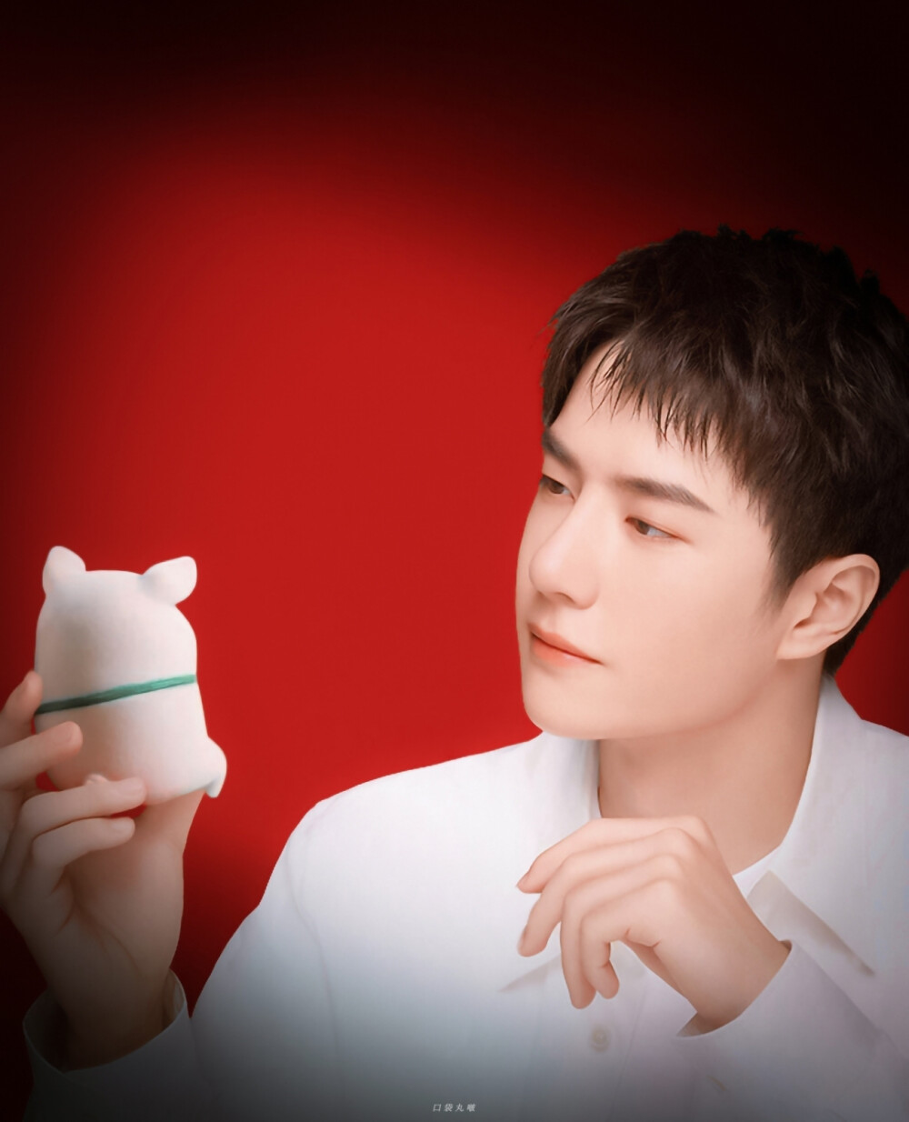 ☀为什么是猪呢☀ cr:logo