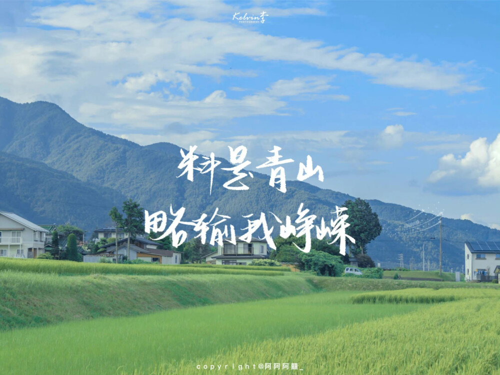 ▸文字壁纸
"追风赶月莫停留，平芜尽处是春山"
cr.阿阿阿囍_