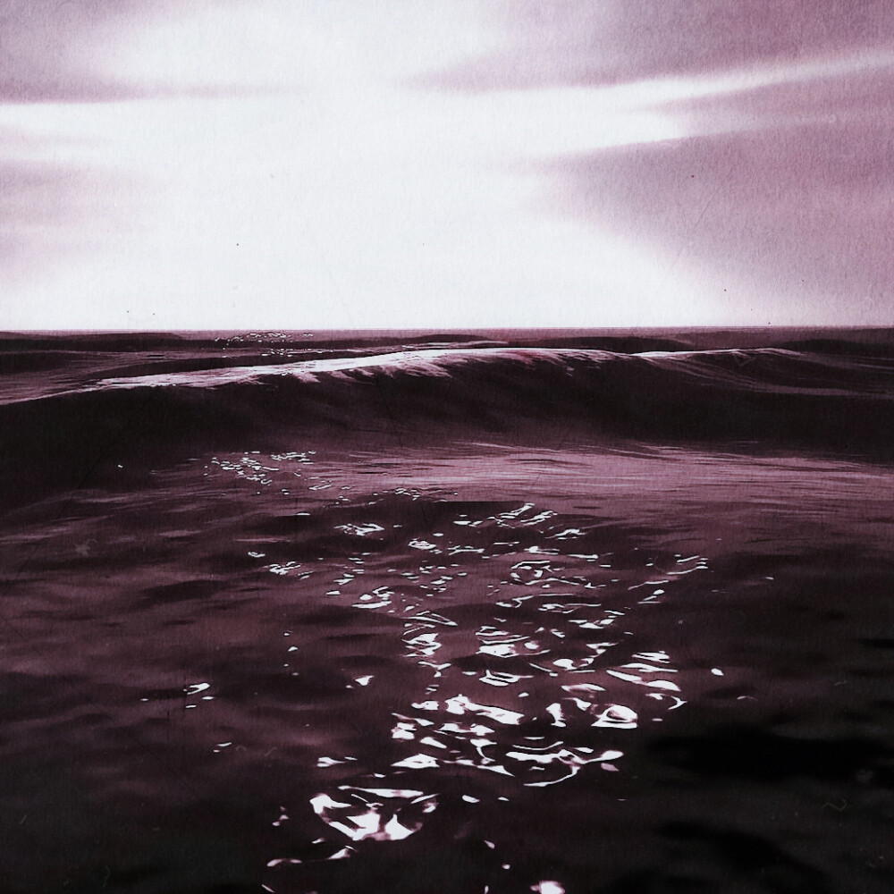  우연히 봄 (偶然的春天Spring Is Gone by chance)
©TADYDOTCOM
