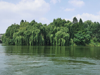 炎炎夏日，游湖赏景