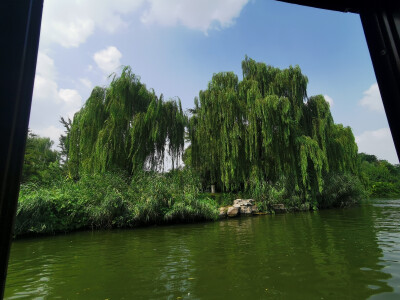 夏日大明湖趵突泉