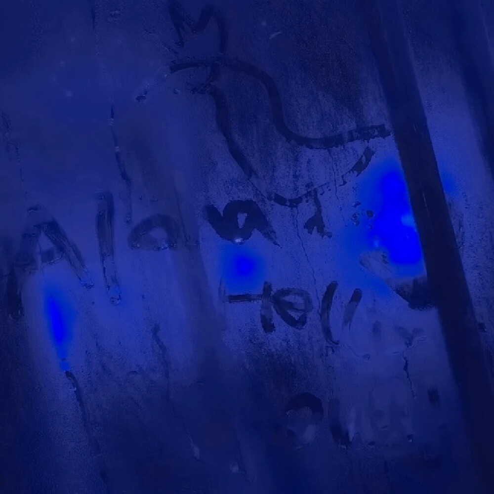 你在哪听着什么歌爱着谁