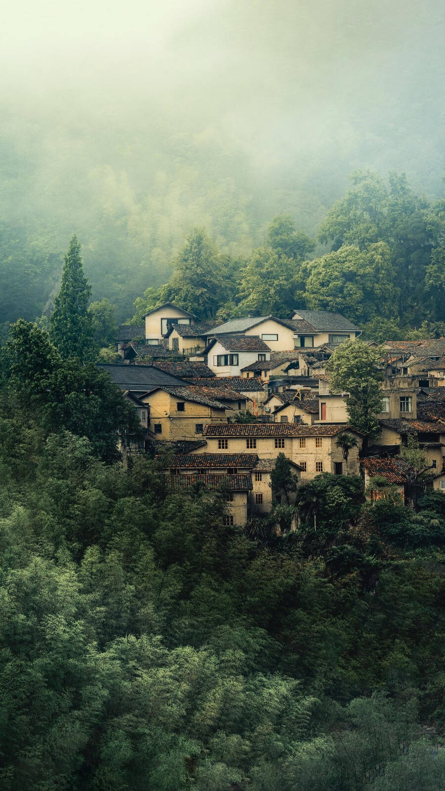 去浙江丽水,探寻"云端上的村落",这里常年云雾缭绕,宛如仙境一般.