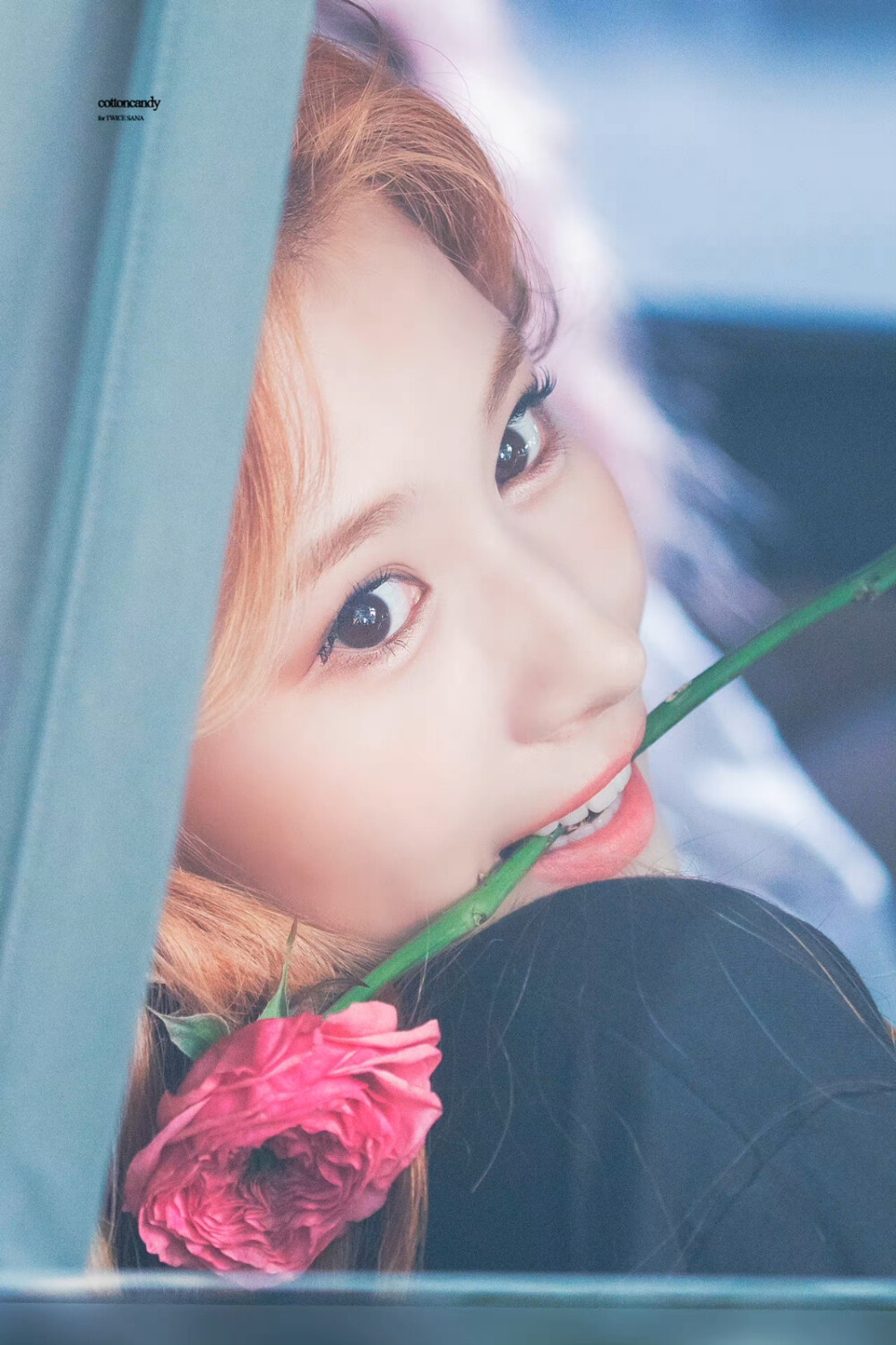 sanatwice凑崎纱夏赞评论更多所有评论你也来说些什么吧