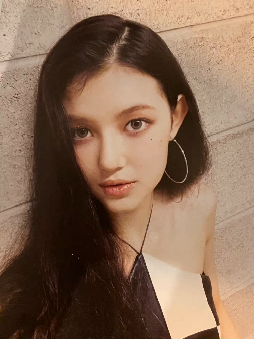 danielle 08logo 侵权删.