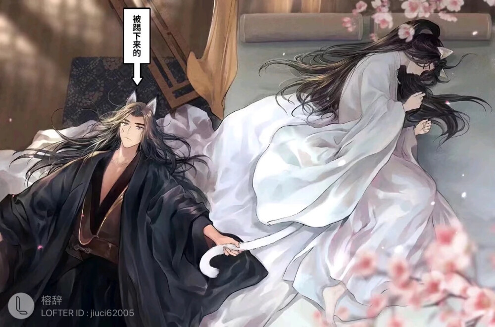 二哈和他的白猫师尊