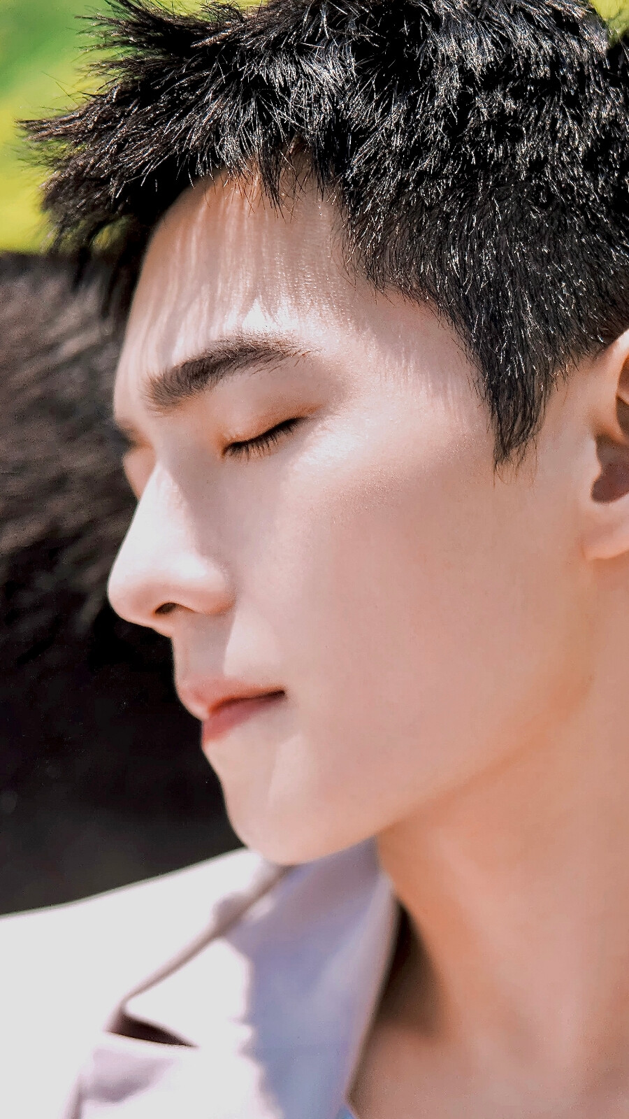 杨洋这鼻子是人类能拥有的鼻子吗? - 堆糖,美图壁纸兴趣社区