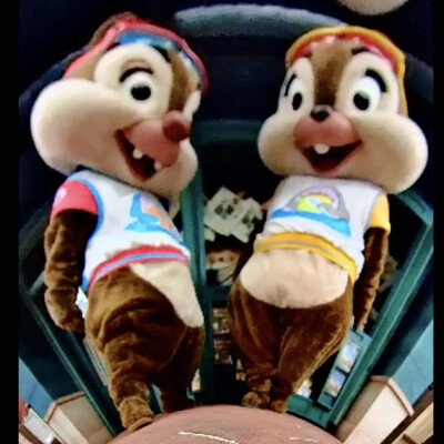 迪士尼 奇奇蒂蒂 Chip&Dale 大头兄弟