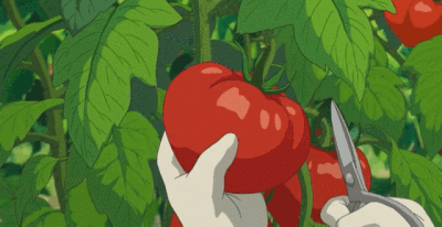 夏天夏天悄悄的过去，留下小秘密