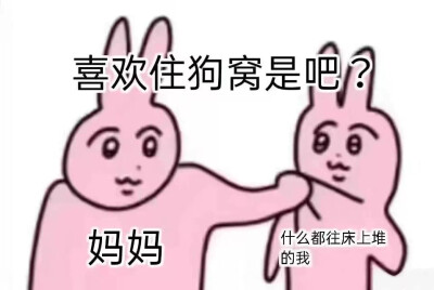 粉红兔表情包
meme