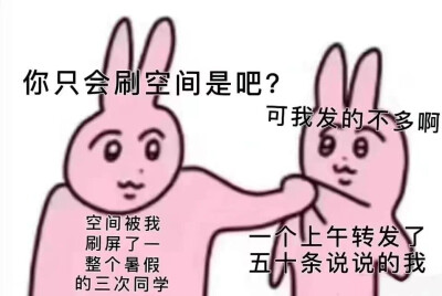 粉红兔表情包
meme