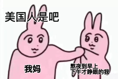 粉红兔表情包
meme