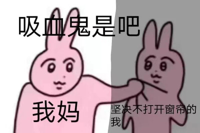 粉红兔表情包
meme