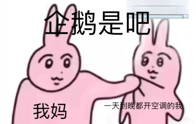 粉红兔表情包
meme