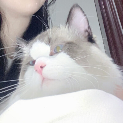 对象不是人系列情头