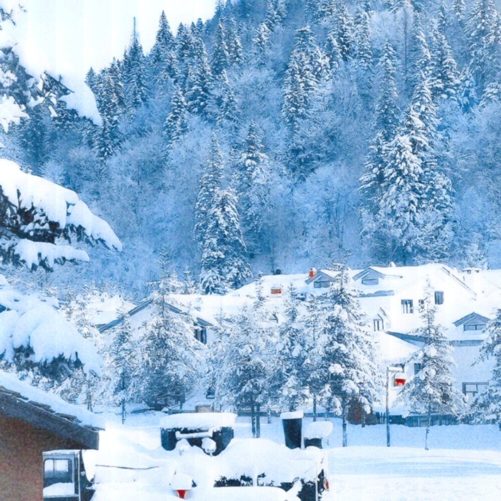 崔杋圭&bull;冬日恋歌(winter sonata)… - 堆糖,美图壁纸兴趣社区