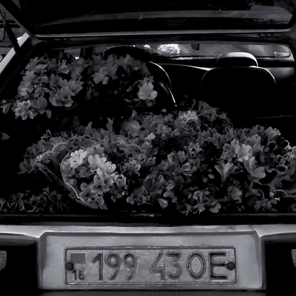 “ 人生最大的遗憾 不是你错过了最好的人 而是你错过了那个想要对你最好的人 ”