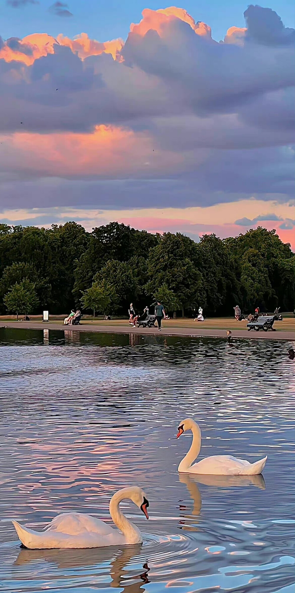 高级感壁纸 ｜ ins壁纸 ｜ 素质拿图