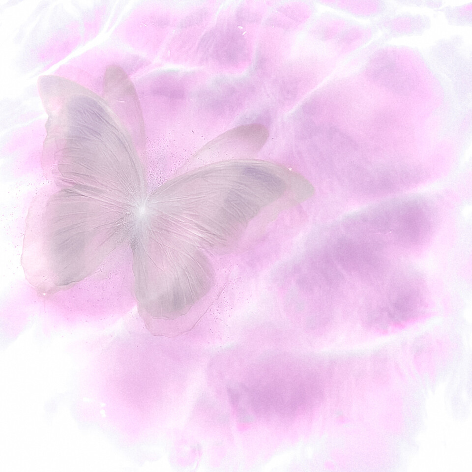 裴珠泫
starblanket_91