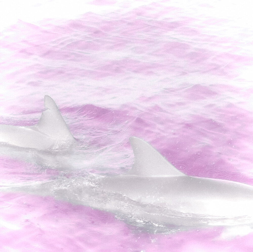 裴珠泫
starblanket_91