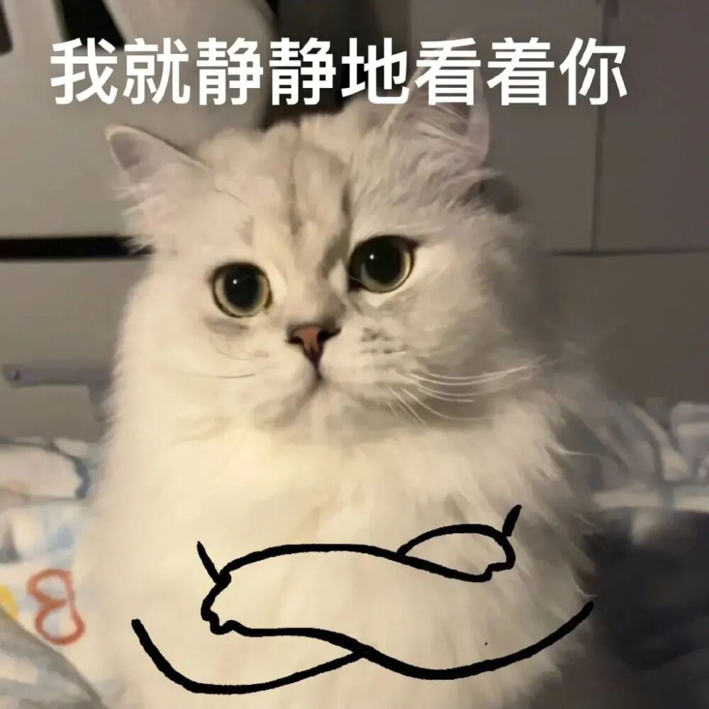 做你的猫表情包图片