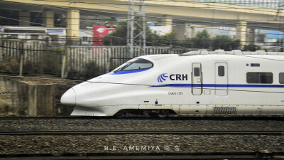 一些带鱼CRH2A，CRH2E
一只兔子CRH3I0B