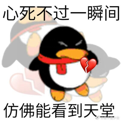 QQ表情包