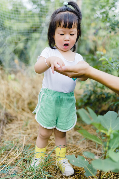 甜甜的都给你
摄影：洪小漩
出镜：家人
今年，蓝莓刚到了收获时节，爸妈就惦记着让我们回家。那些时日，菲比恰好在上虞阿太家，没能及时赶回浦江。所幸的是，我弟难得请出假来回了一趟浦江，将头茬蓝莓一网打尽。…