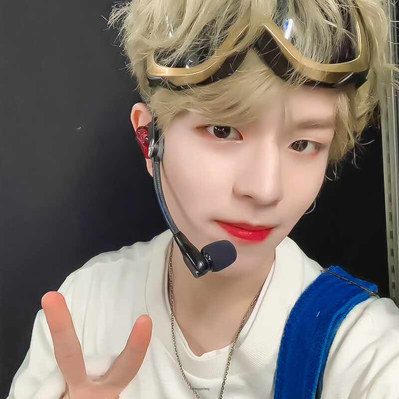 straykids 金昇玟