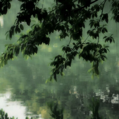 Forest bank*提笔书写情诗'
cr.赴暒