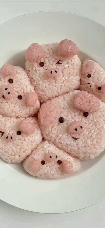 猪猪饭团