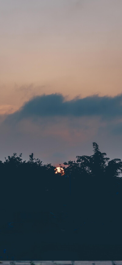 风景壁纸/夏夜微风