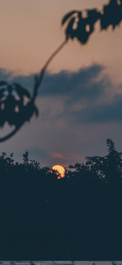 风景壁纸/夏夜微风